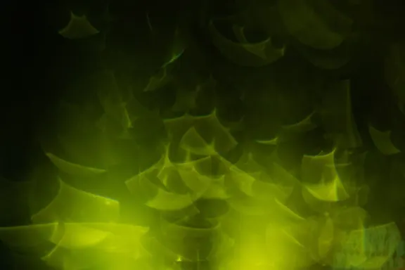 Billion Casino Ondersteuning